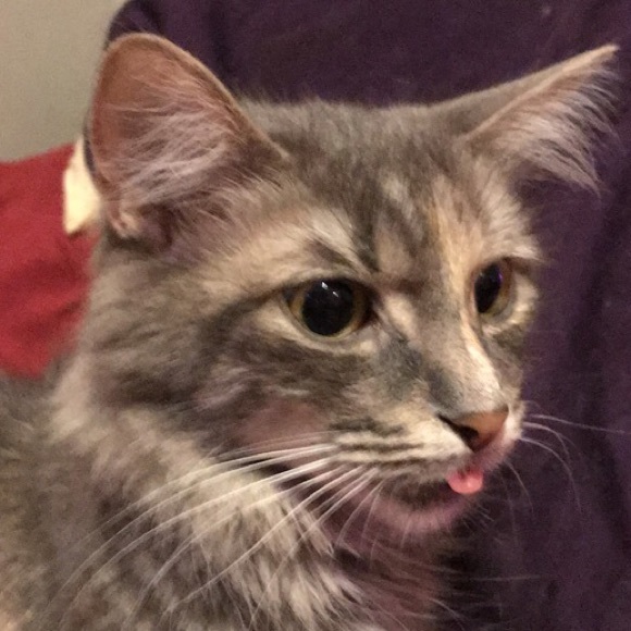 Meet your Posher, Renee - Picture 16 of 16